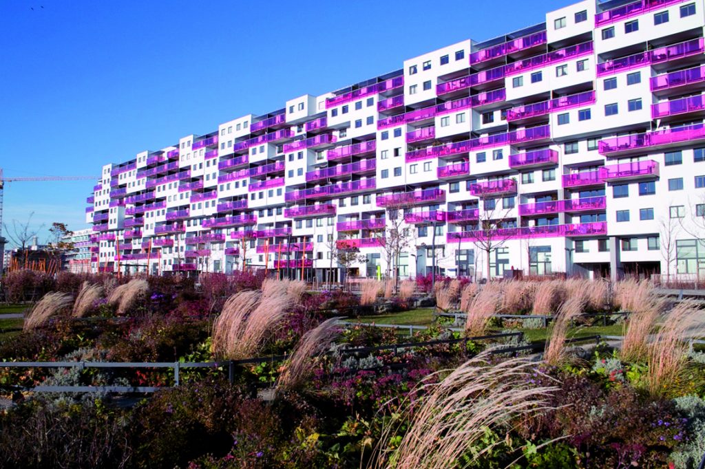 Park with the housing development in background