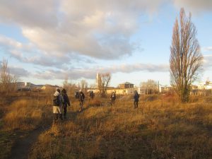 Wiese mit Menschen und Wolken