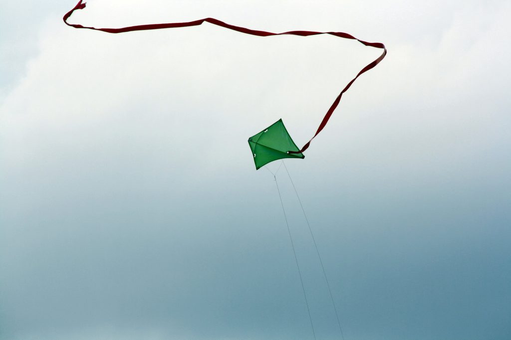 Kite in the air