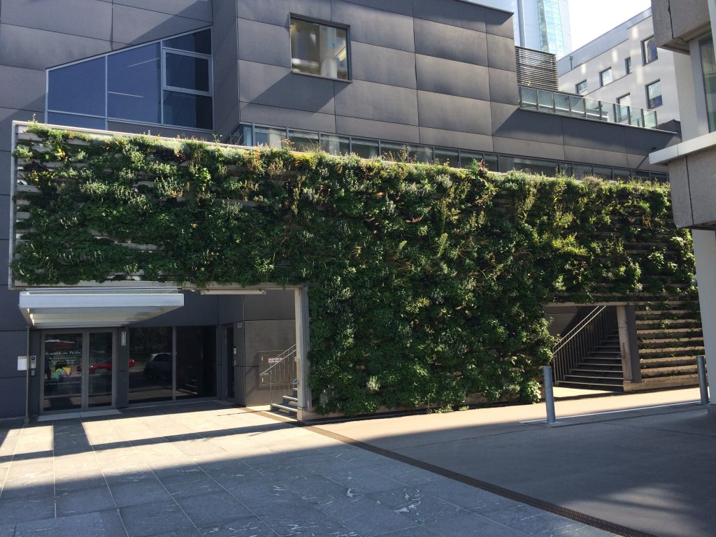 A building with leafage on the wall