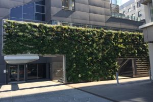 A building with leafage on the wall