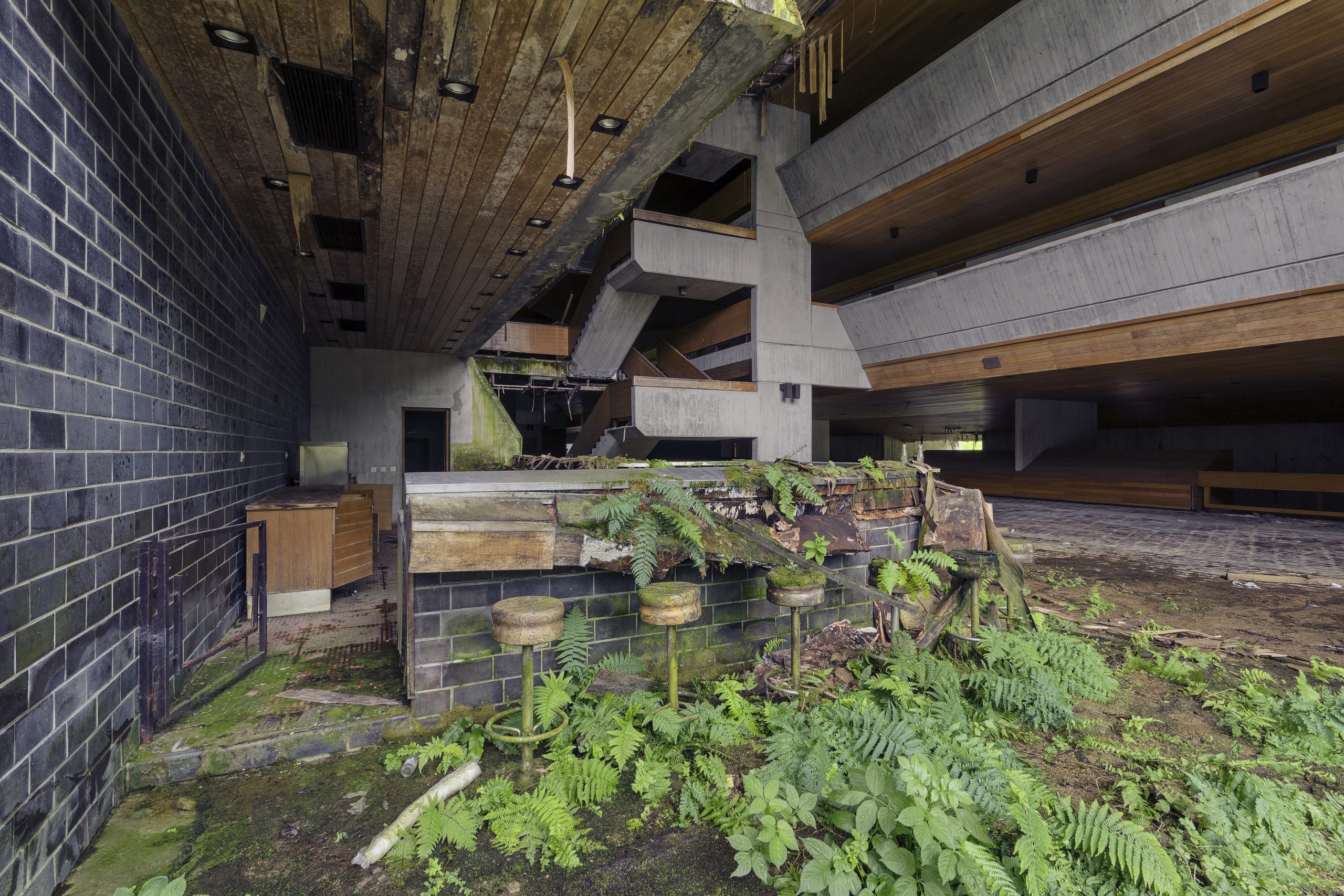 Verlassenes Schulgebäude mit Pflanzen im Vordergrund
