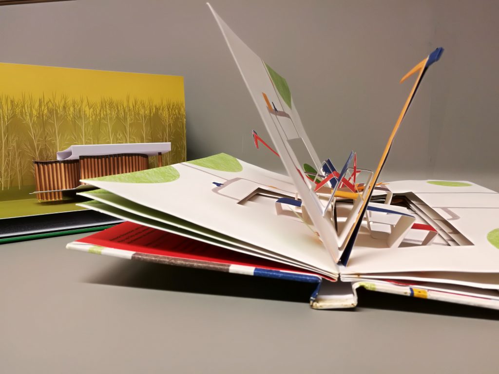 Pop-up book