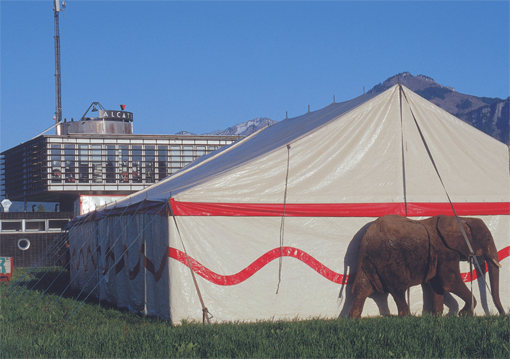 L-Fanta, Lustenau 2002