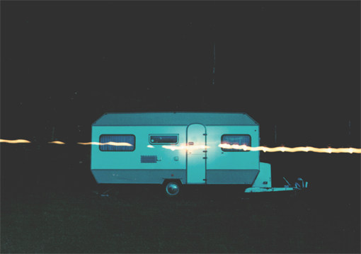Nature DeLuxe #30, 2000