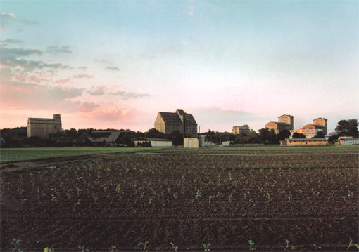 Bepflanzungen, Wien-Simmering 1997
