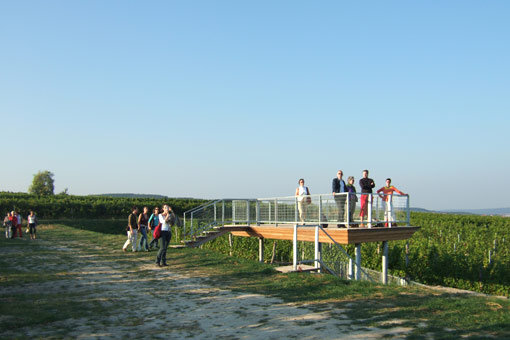 Die "Weingartenlaube", 2006 von Auböck + Kárász