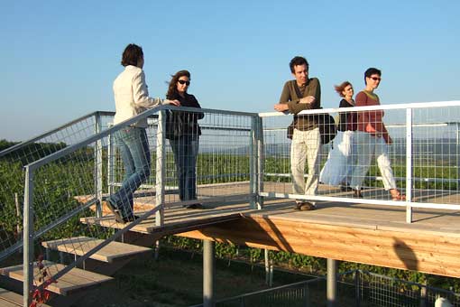 sonntags TeilnehmerInnen auf der Weingartenlaube