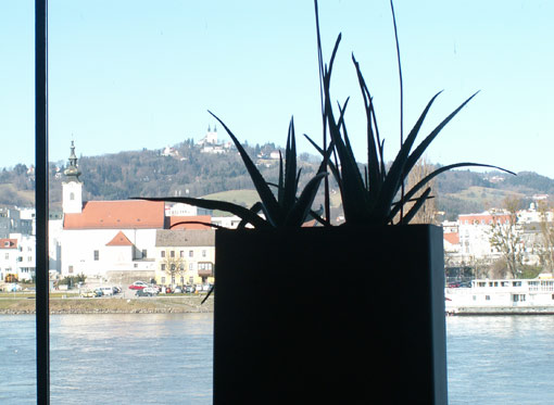 sonntags 185 in Linz: Lentos Kunstmuseum Linz