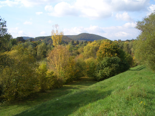 Die unmittelbare Umgebung der Mustersiedlung, Blick nach Westen