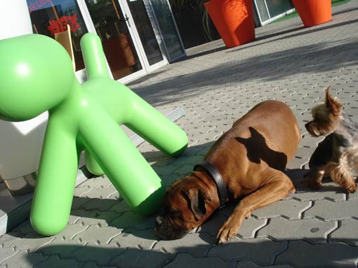 Eindrücke von der Exkursion "sonntags 208: designsafari bratislava"