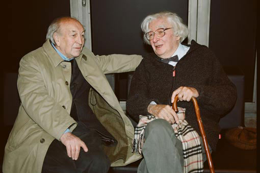 Anton Schweighofer und Bogdan Bogdanović
