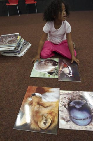 Impressions from the workshop "How do animals live" at the Az W