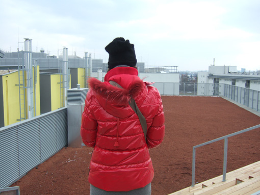 Eindrücke von der Exkursion „sonntags 228: wohnen innovativ in donaustadt"
