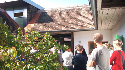 sundays 252: home looks like this 17_in Lower Austria