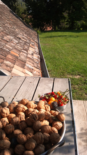 sundays 252: home looks like this 17_in Lower Austria