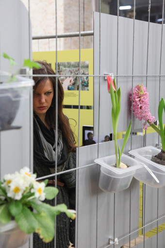 Opening of the exhibition 'Hands-On Urbanism 1850 - 2012. The Right to Green', March 14, 2012 at the Architekturzentrum Wien.