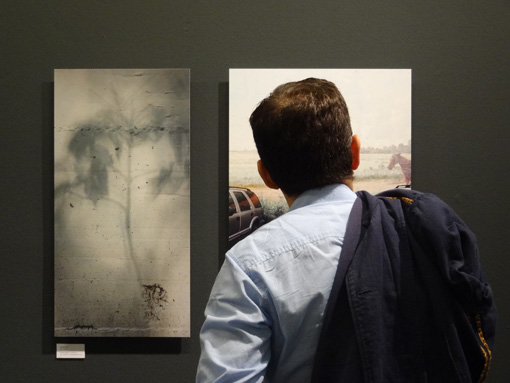Az W Photo Award 2012
