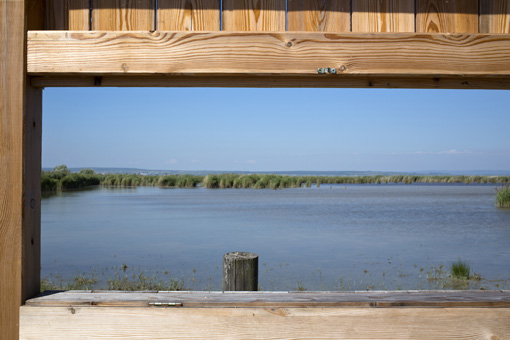 Special mention: Georg Oberweger, “Bau_Land”, Neusiedlersee, Austria, summer 2014