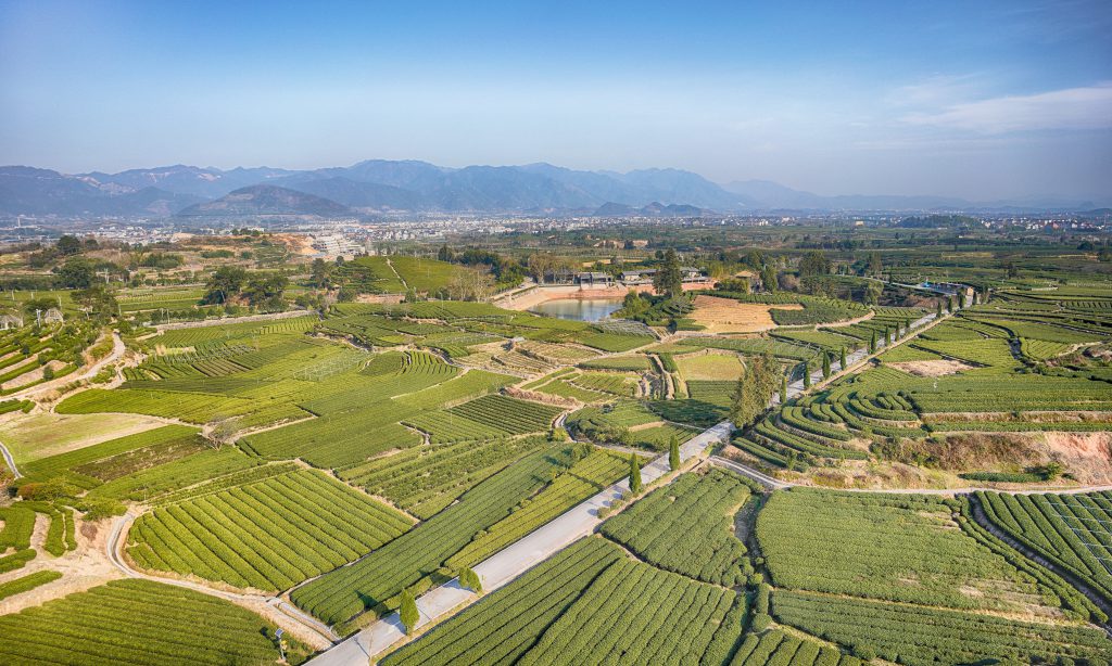 Aerial view of landscape divided into fields