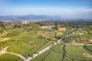 Aerial view of landscape divided into fields