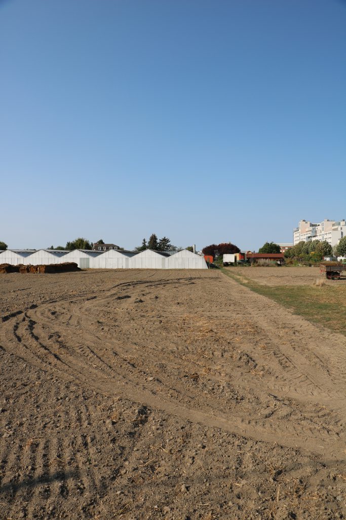 white flat terraced warehouses with one field in the foreground