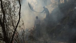 Zwie Männer stehen in einem Wald umgeben von Rauch