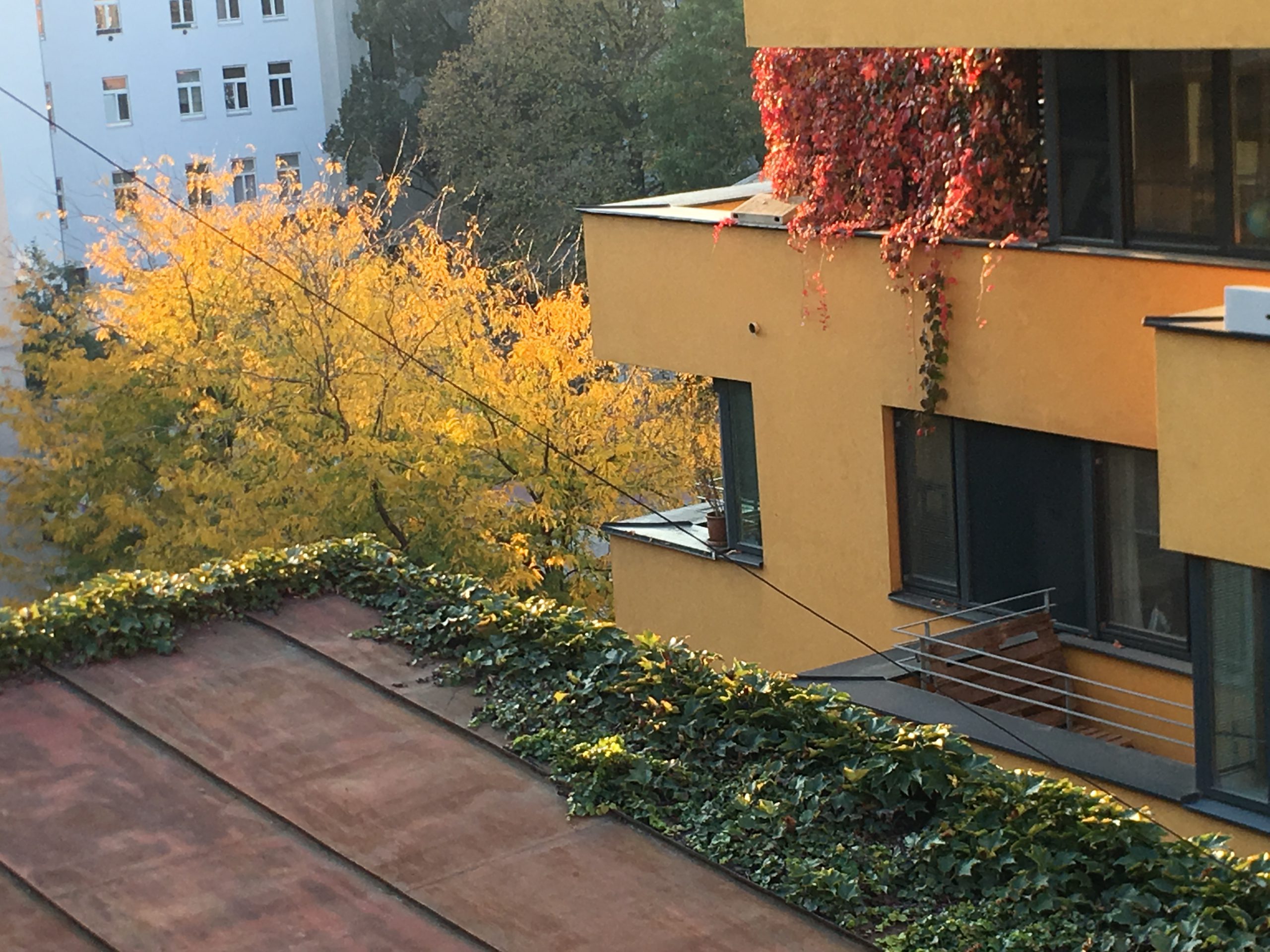 Corner of a yellow house with a tin roof in the foreground