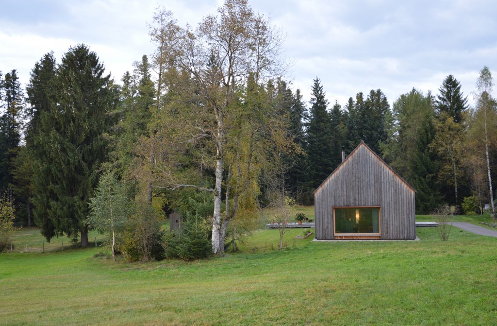 Holzhaus mit eine großen Fenster und satteldach auf einer Wiese neben einem Baum und Wald im Hintergrund