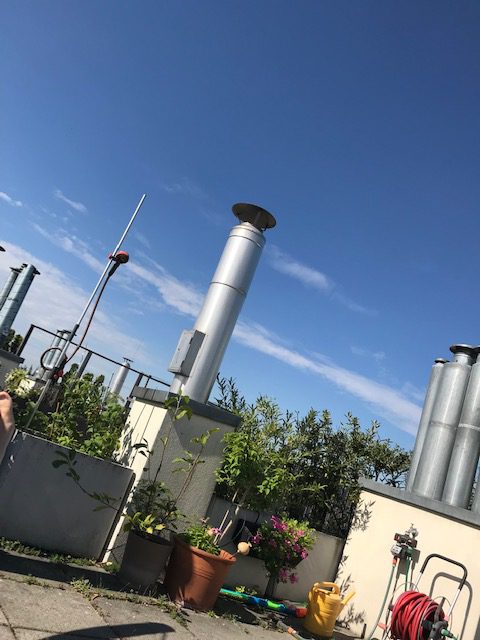 chimneys and plants