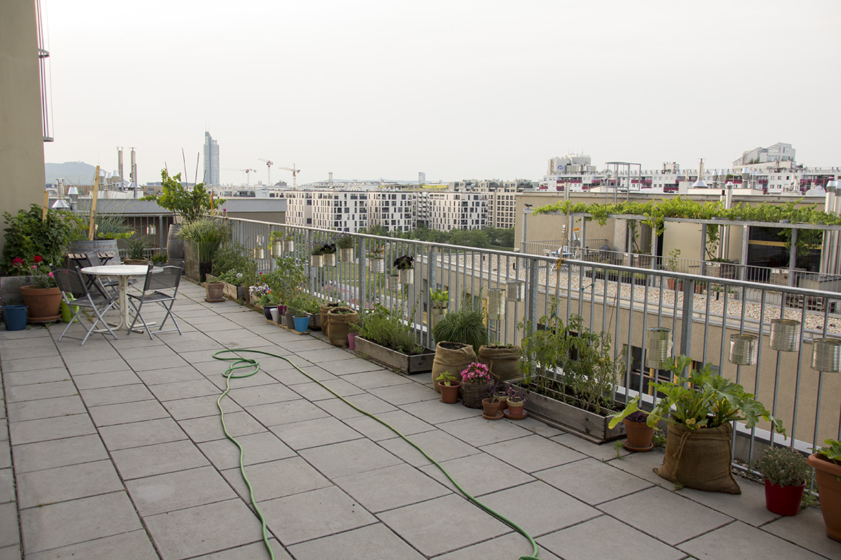 rooftop terrace with plants