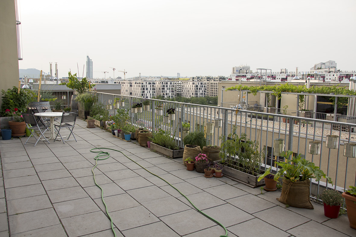 Dachterrasse mit Pflanzen