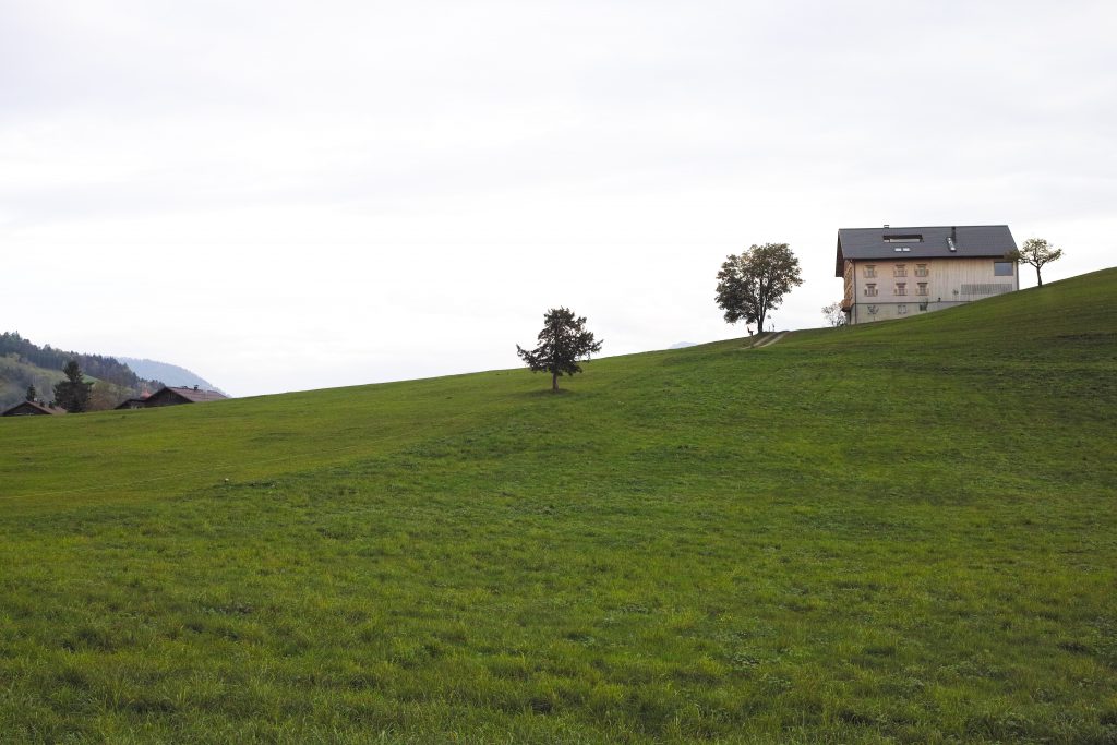 Multi-storey house with saddle roof on a meadow with trees