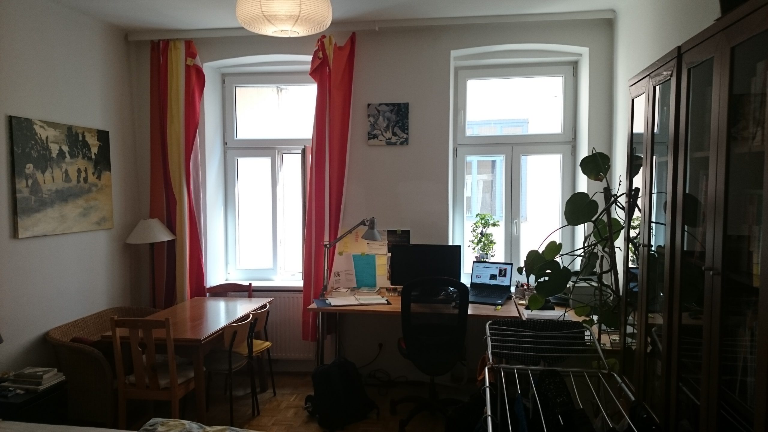 Room with two windows and two tables, green plant and rotary clothes dryer