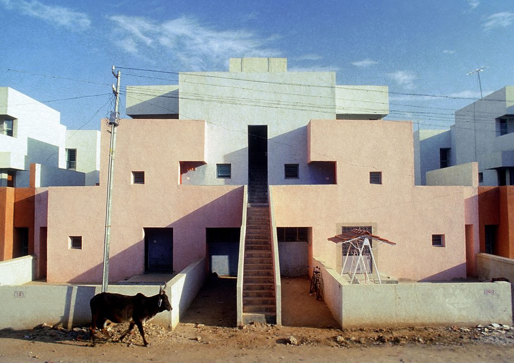 A cow in front of building