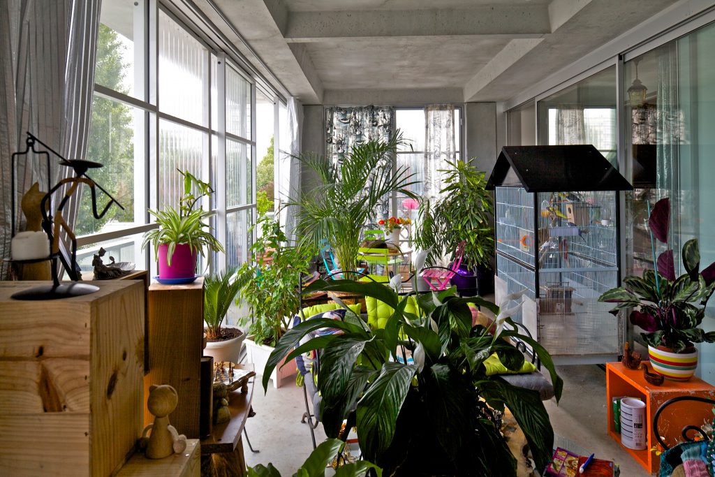 Room with many plants and a bird cage
