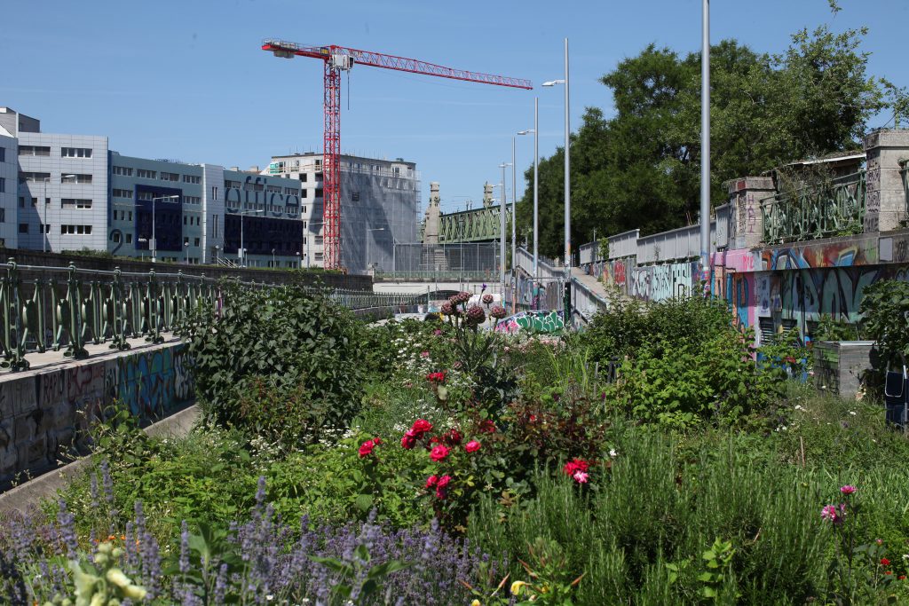 Garden in the city with crane