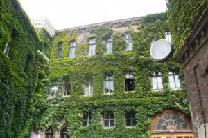 Multi-storey house green overgrown