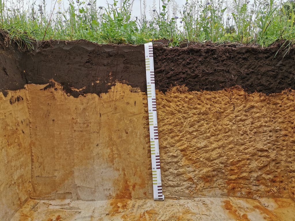 Cross-section of a floor with tape measure