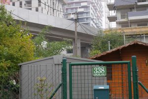 Allotment garden with high-rise building behind