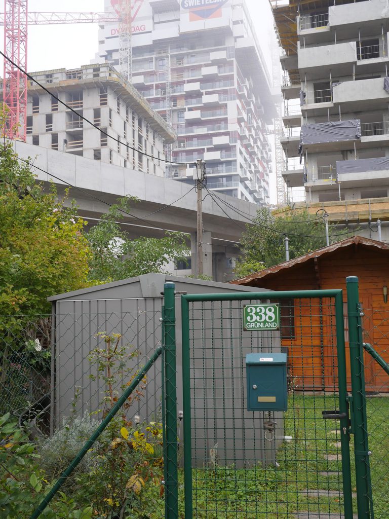 Allotment garden with high-rise building behind