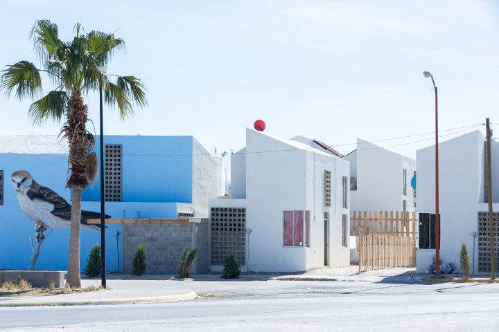 Houses in white and blue, on one house a large bird is painted, in front of it is a palm tree