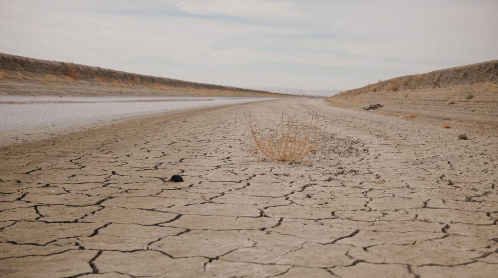 Dried up withered earth with a road leading through it