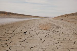 Dried up withered earth with a road leading through it