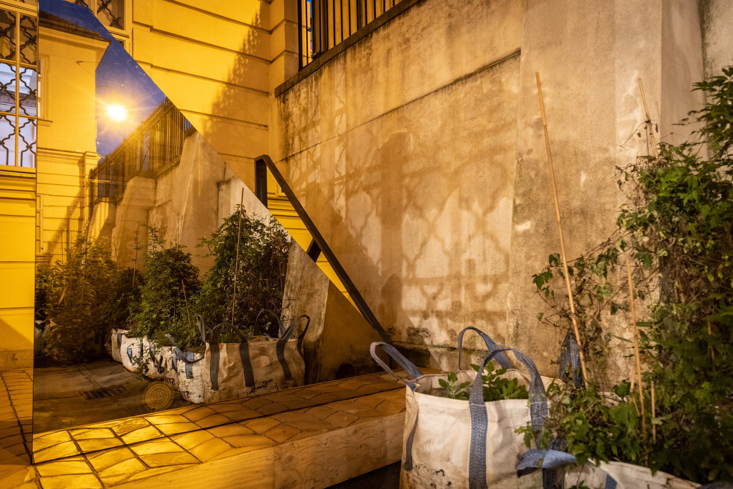 Inner courtyard in yellow evening light and plants in bags