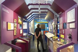 Man in exhibition with purple exhibition walls and display cases