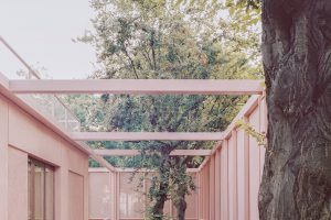 Inner courtyard that is open to the top, 2 trees grow out in the middle and the building is antique pink