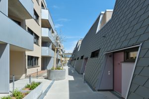 kleiner Weg mit links und rechts moderen Wohnbauten, dahinter blauer Himmel mit Sonnenschein