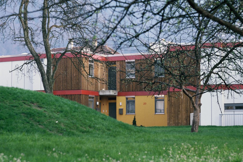 Residential house in wood with white and light brown surfaces, in front a meadow with trees