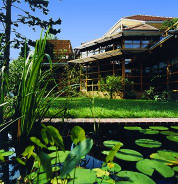 House with garden and pond in front of it, in it are water lilies and reeds